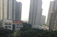 Shenzhen International Kindergarten/School Project