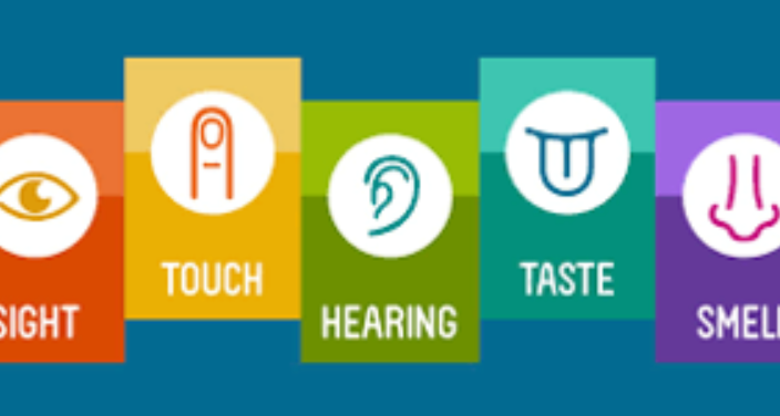 Early Years Franchise