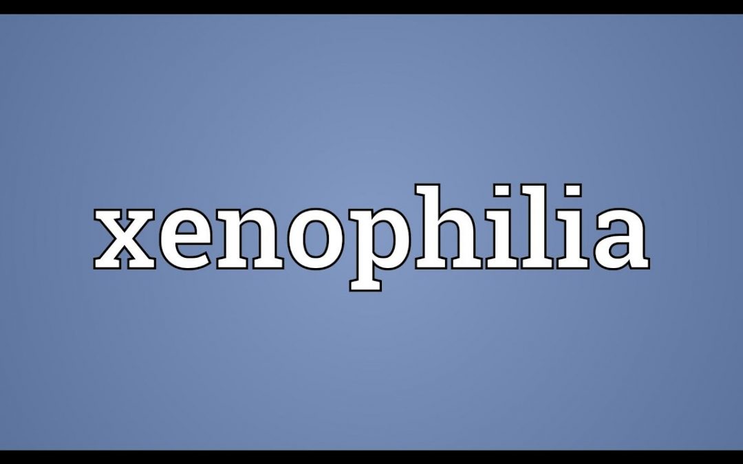 How do we turn Xenophobia into Xenophilia
