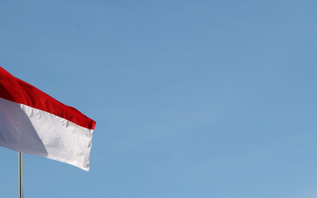 Investing in Indonesia: Education