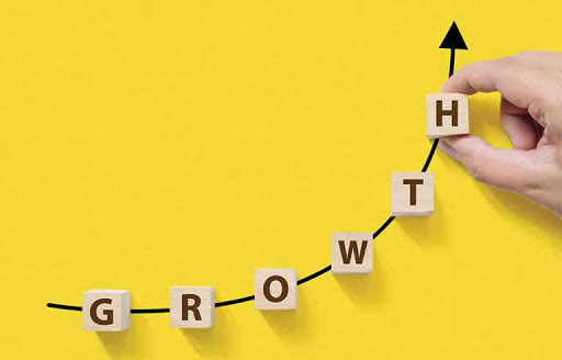marketing plan - growth