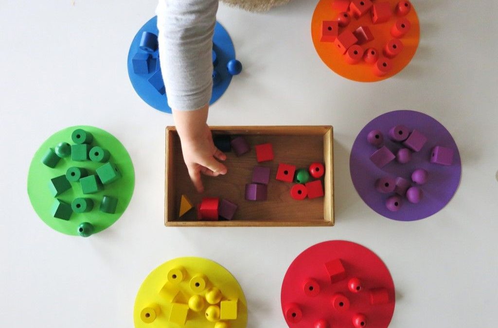 8 Ways to Help Children with Classification