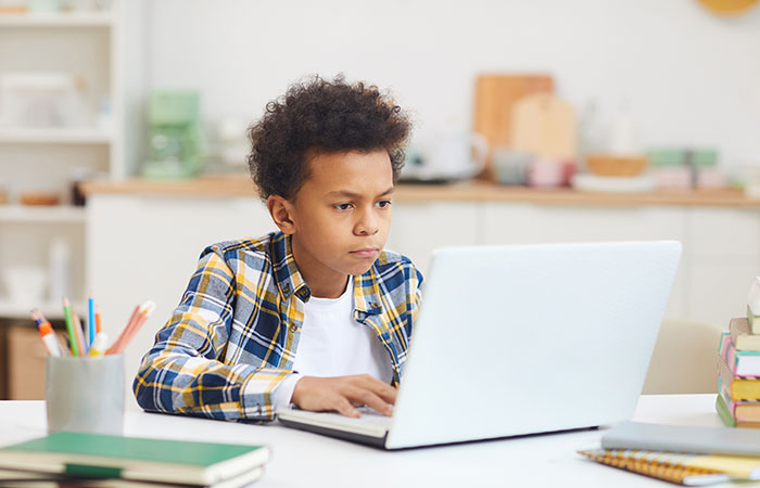 Virtual School - Digital Native