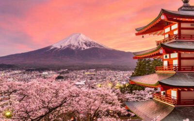 Steps to Setting Up a New School in Japan