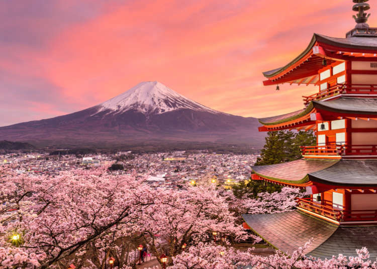 open a school in japan