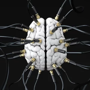 Hard Wired Cognitive Behaviours