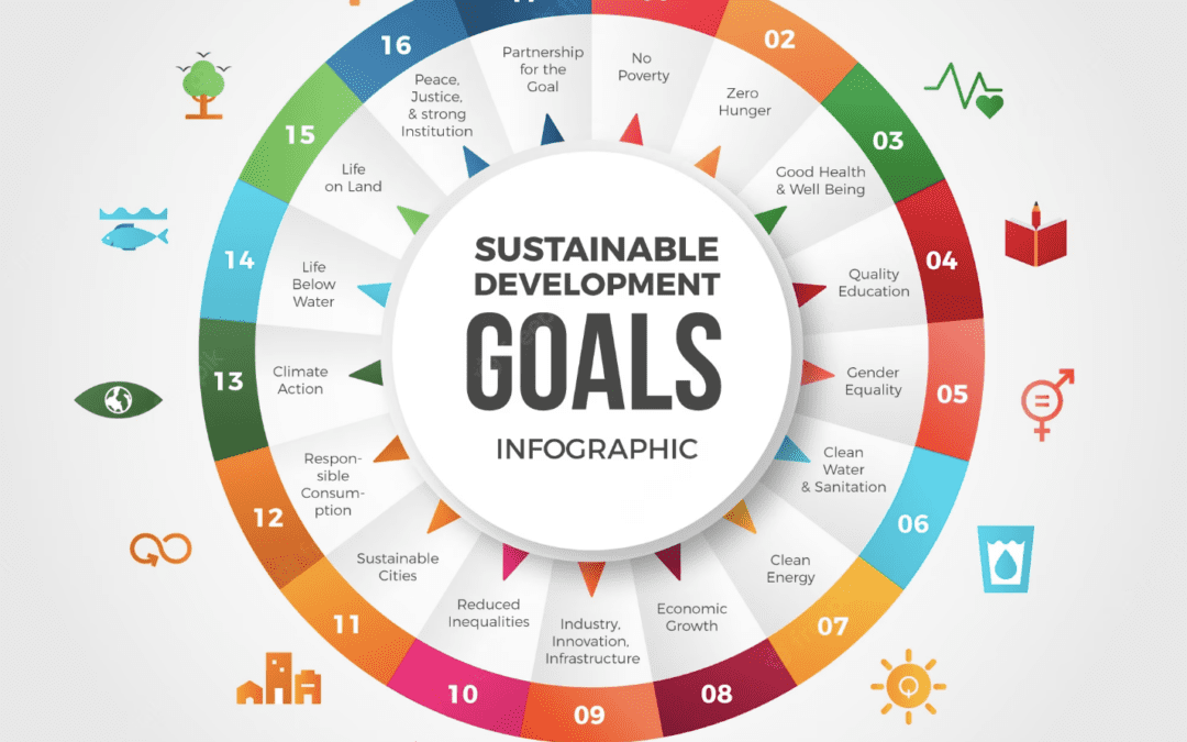 The United Nations’ Sustainable Development Goals (SDGs)