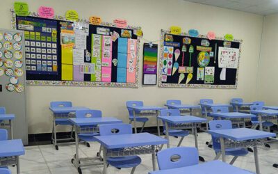 School Review and Improvement Project – Riyadh, Saudi Arabia