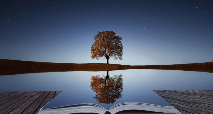 Navigating Success includes reflection