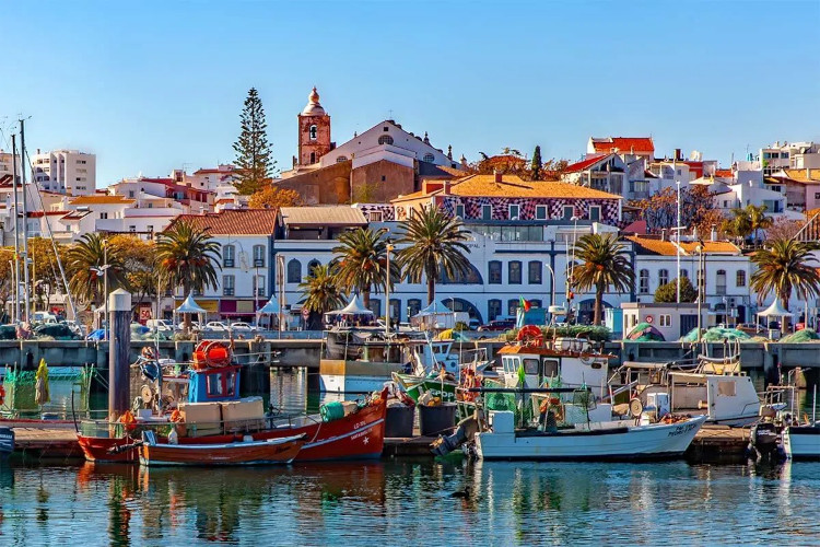 New School in Portugal