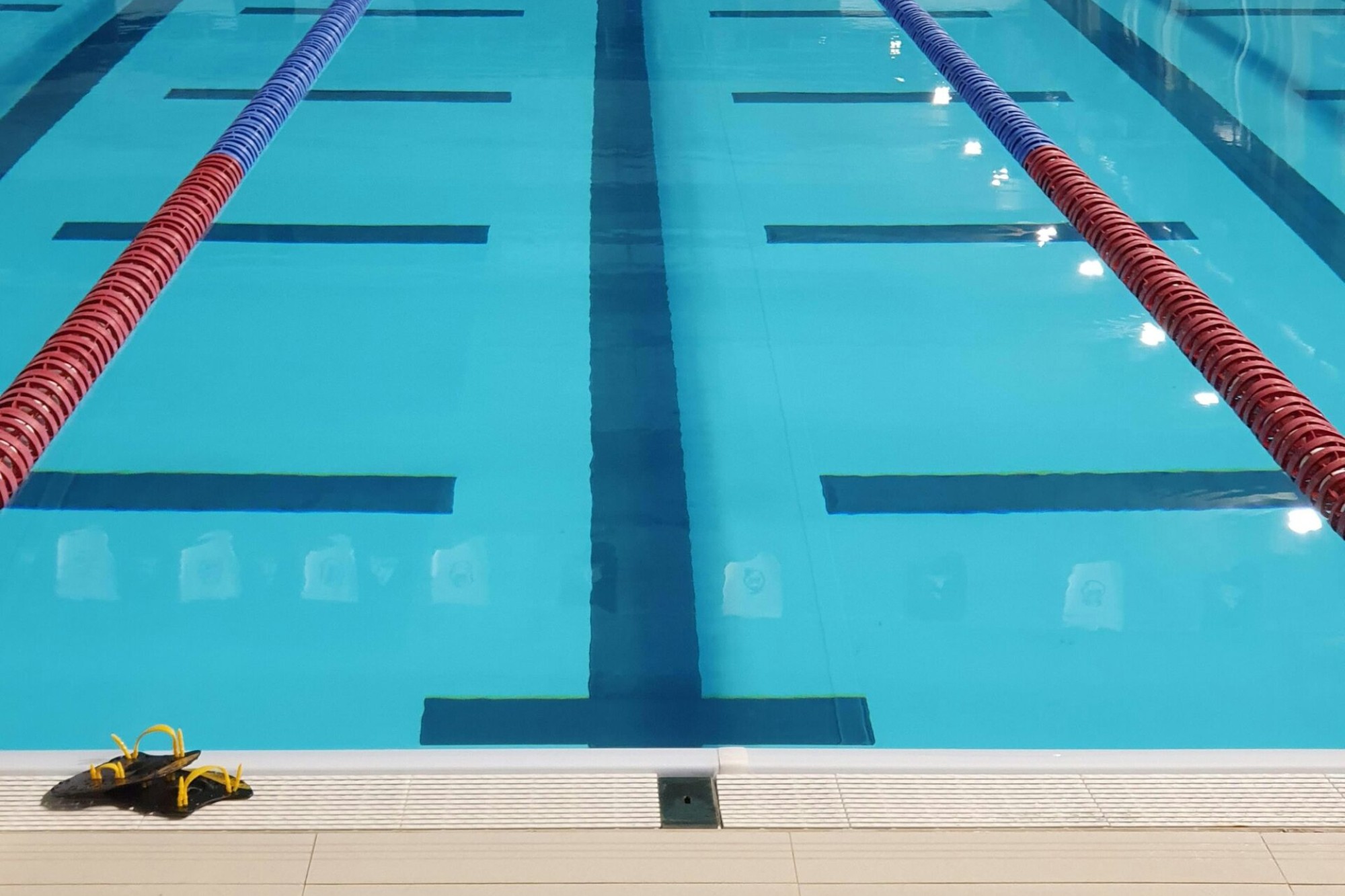 School swimming pool design showing lane ropes, lane markings and pool edge in a six-lane competition pool
